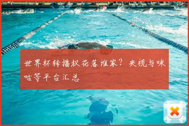 世界杯转播权花落谁家？央视与咪咕等平台汇总