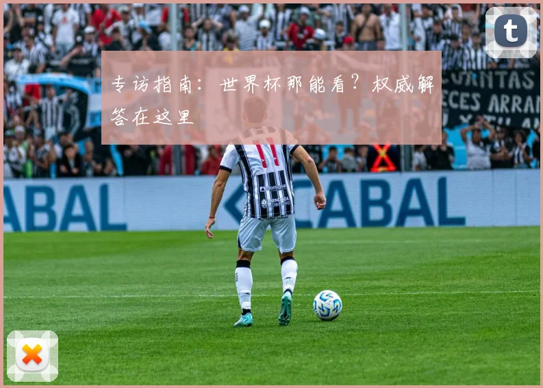 专访指南：世界杯那能看？权威解答在这里