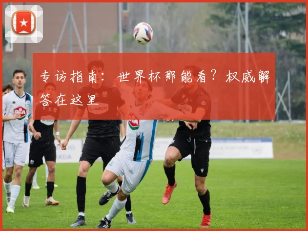 专访指南：世界杯那能看？权威解答在这里