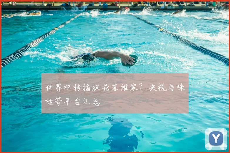 世界杯转播权花落谁家？央视与咪咕等平台汇总
