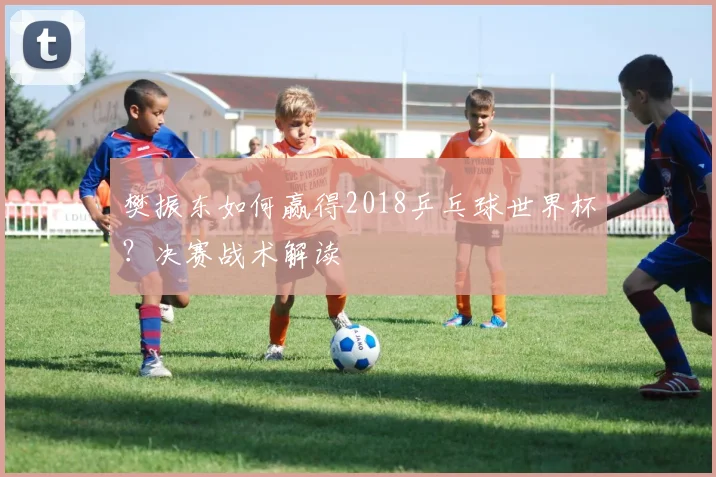 樊振东如何赢得2018乒乓球世界杯？决赛战术解读