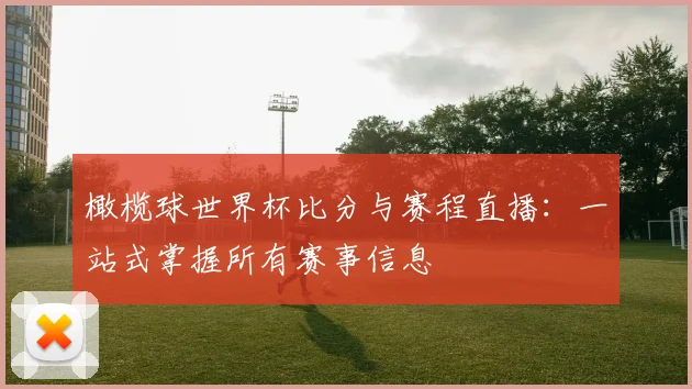 橄榄球世界杯比分与赛程直播：一站式掌握所有赛事信息