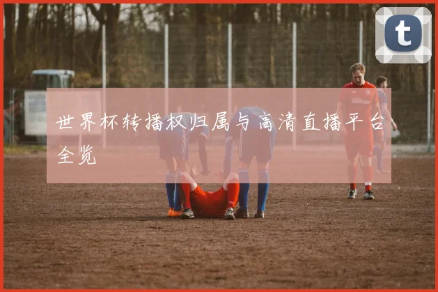 世界杯转播权归属与高清直播平台全览